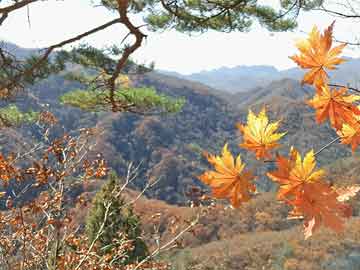 黑料网曝光：火山口高温烟雾中的“灼热亲密”