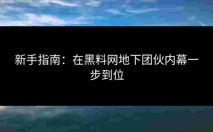 新手指南：在黑料网地下团伙内幕一步到位