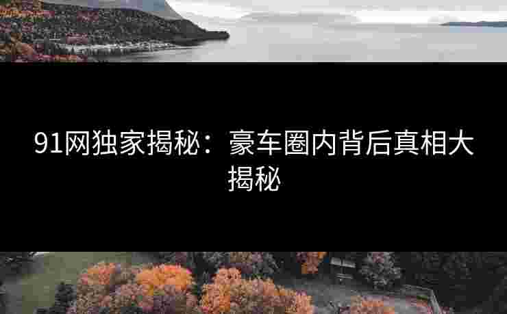 91网独家揭秘：豪车圈内背后真相大揭秘