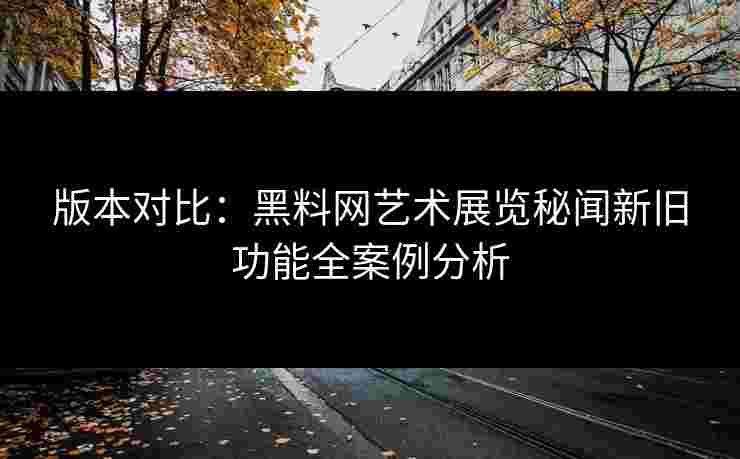 版本对比：黑料网艺术展览秘闻新旧功能全案例分析
